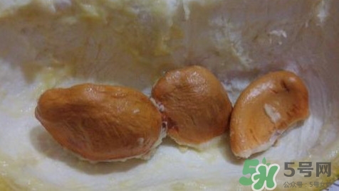 榴蓮核有毒嗎？榴蓮核有什么作用