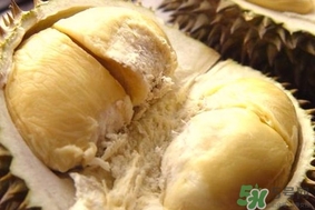 榴蓮樹幾年結(jié)果？榴蓮皮有什么用