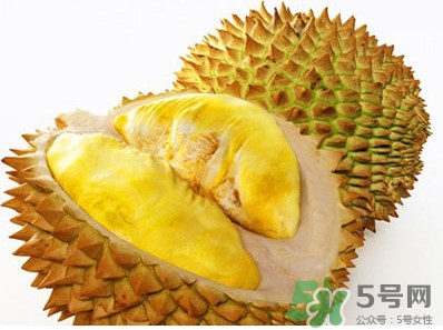 榴蓮核能種嗎？榴蓮核怎么種盆栽？