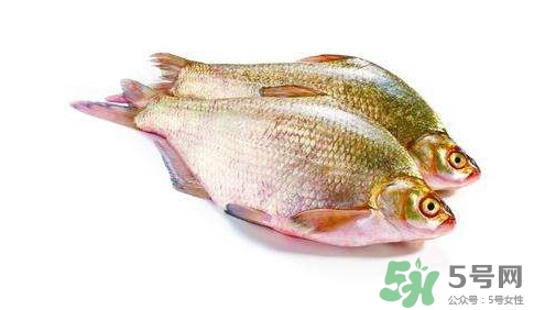 鳊魚(yú)怎么做好吃？鳊魚(yú)怎么燒好吃