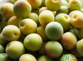 梅子不能和什么一起吃？梅子和什么食物都相克？