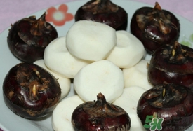 荸薺可以放冰箱嗎？荸薺可以冷凍嗎