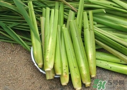 茭白能放冰箱嗎？茭白可以放冰箱多久