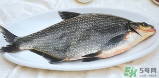 鳊魚(yú)怎么做好吃？鳊魚(yú)怎么燒好吃