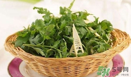 菊花腦是發(fā)物嗎？菊花腦是不是發(fā)物