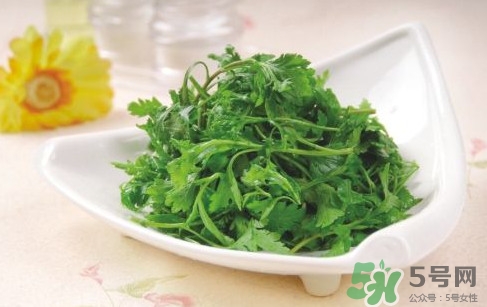 菊花腦孕婦能吃嗎？孕婦可以吃菊花腦嗎