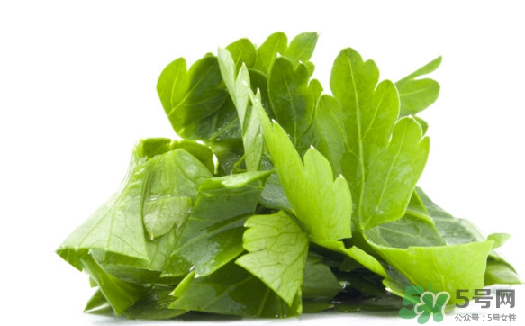 菊花腦有什么好處？菊花腦的功效與作用