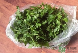 菊花腦怎么做好吃？菊花腦怎么做有營(yíng)養(yǎng)