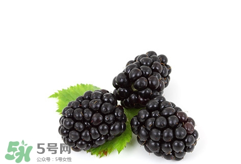 覆盆子的熱量高嗎？覆盆子可以減肥嗎？