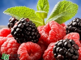 山莓跟黑莓一樣嗎？黑莓貴還是山莓貴？