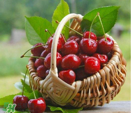 ?五月份還有櫻桃嗎？?五月份的櫻桃能吃嗎？