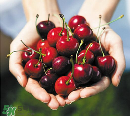 ?五月份還有櫻桃嗎？?五月份的櫻桃能吃嗎？