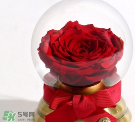 野獸派水晶球多少錢？野獸派水晶球音樂盒價格