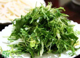 苦菜要焯水嗎？焯苦菜的水能喝嗎？