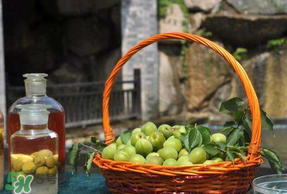 青梅可以直接吃嗎？剛摘下的青梅可以直接吃嗎?？