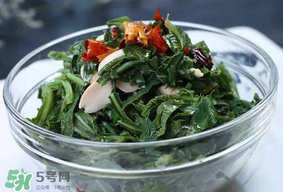 苦菜怎么保存？苦菜怎么保存時(shí)間長(zhǎng)？