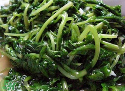 苦菜可以曬干嗎？苦菜怎么曬干？