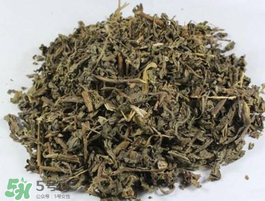 苦菜可以曬干嗎？苦菜怎么曬干？