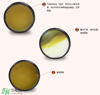 地球媽媽護(hù)臀膏能擦臉嗎？地球媽媽護(hù)臀膏可以擦臉用嗎？