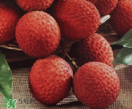 荔枝一天吃多少合適？荔枝一天最多吃幾個(gè)？