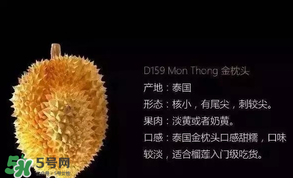 金枕頭和貓山王哪個(gè)好？金枕頭和貓山王的區(qū)別