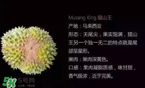 金枕頭和貓山王哪個(gè)好？金枕頭和貓山王的區(qū)別