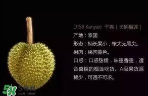 金枕頭和貓山王哪個(gè)好？金枕頭和貓山王的區(qū)別