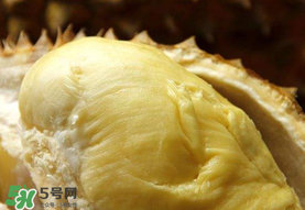 金枕頭榴蓮幾月份上市？金枕頭榴蓮什么時(shí)候上市？