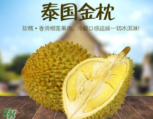 金枕頭榴蓮怎么才算熟？金枕頭榴蓮怎么催熟？