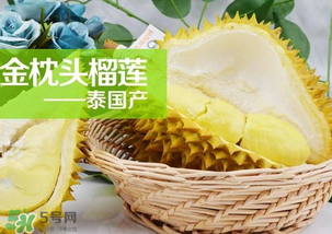 金枕頭榴蓮怎么才算熟？金枕頭榴蓮怎么催熟？