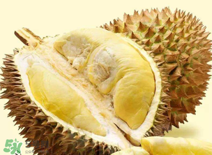 金枕頭榴蓮怎么才算熟？金枕頭榴蓮怎么催熟？