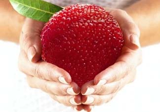 小滿吃什么水果？小滿吃哪些水果好？