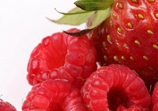 刺泡是山莓嗎？刺泡和山莓的區(qū)別