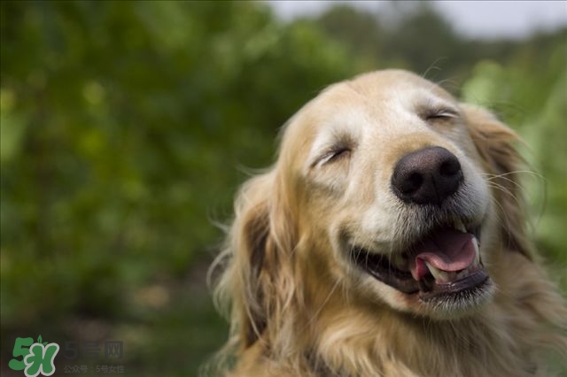 笑氣是什么？笑氣是毒品嗎？