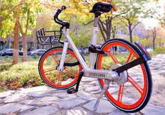 Ostelin和ddrops哪個好？Ostelin和ddrops的特點(diǎn)是什么？