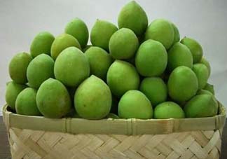 青梅果有什么好處？青梅果的功效與作用