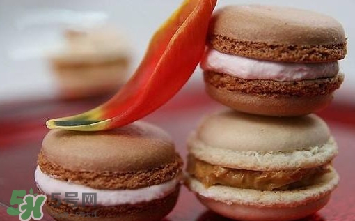 馬卡龍是什么意思？馬卡龍有什么寓意