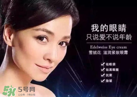 TST是哪個國家的牌子？TST是國內還是國外的品牌？