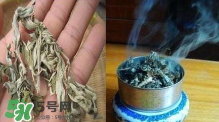 艾葉可以驅蚊子嗎？艾葉能驅蚊子嗎