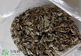 艾葉枕頭孕婦可以用嗎？艾葉枕頭小孩可以用嗎