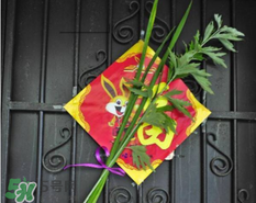 艾草掛門上是什么意思？艾草放門口什么作用？