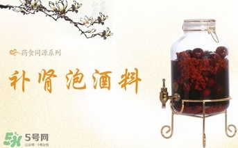 肉蓯蓉和什么泡酒最好？肉蓯蓉泡酒的功效與作用