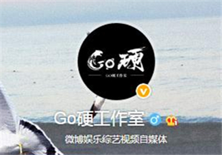 go硬工作室和卓偉有什么關(guān)系？go硬工作室是卓偉前員工成立的？