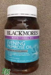 備孕可以吃見月草油膠囊嗎？孕婦可以吃見月草油膠囊嗎？