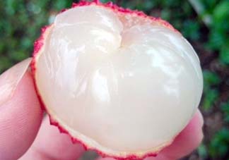 吃荔枝被酒駕怎么辦？吃荔枝酒駕是真的嗎？