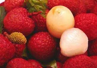 掛綠荔枝為什么那么貴？為什么掛綠荔枝這么貴？