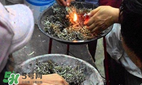 艾葉可以驅蚊子嗎？艾葉能驅蚊子嗎