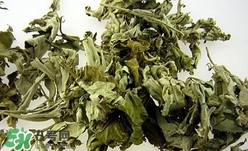 艾葉可以驅蚊子嗎？艾葉能驅蚊子嗎