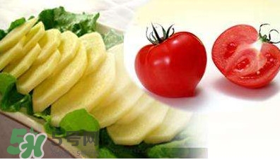西紅柿能和土豆一起吃嗎？土豆可以和西紅柿一起吃嗎