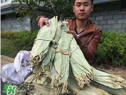 干粽葉怎么煮？干粽葉煮多久？